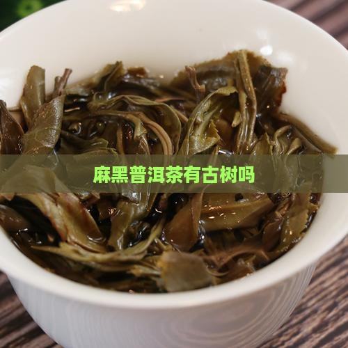 麻黑普洱茶有古树吗