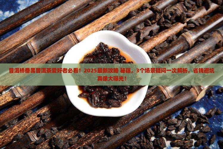 普洱桥番禺普洱茶