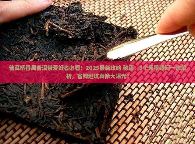 普洱桥番禺普洱茶