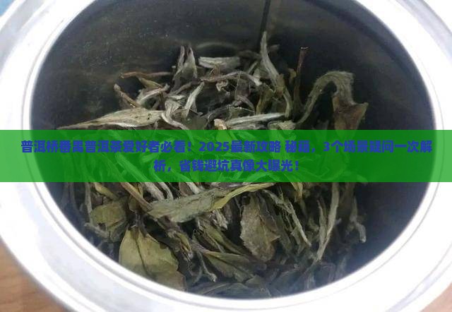 普洱桥番禺普洱茶