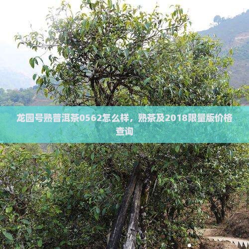 龙园号熟普洱茶0562