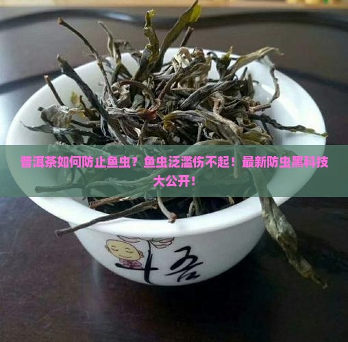 普洱茶如何防止鱼虫