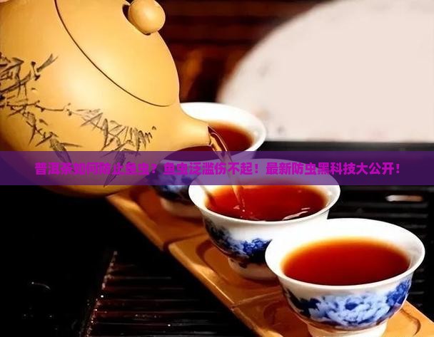 普洱茶如何防止鱼虫