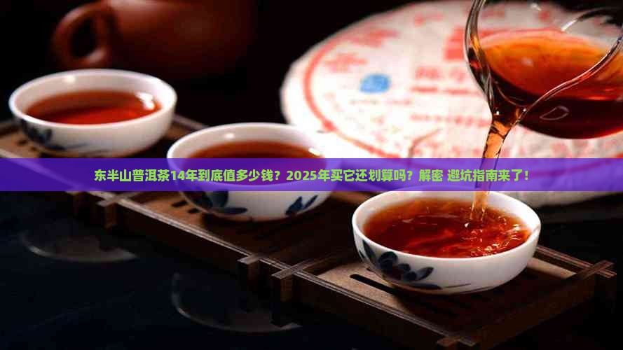 东半山普洱茶14年多少钱
