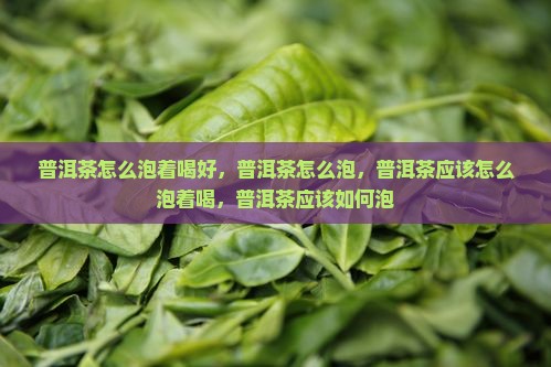 普洱茶怎么泡着喝好