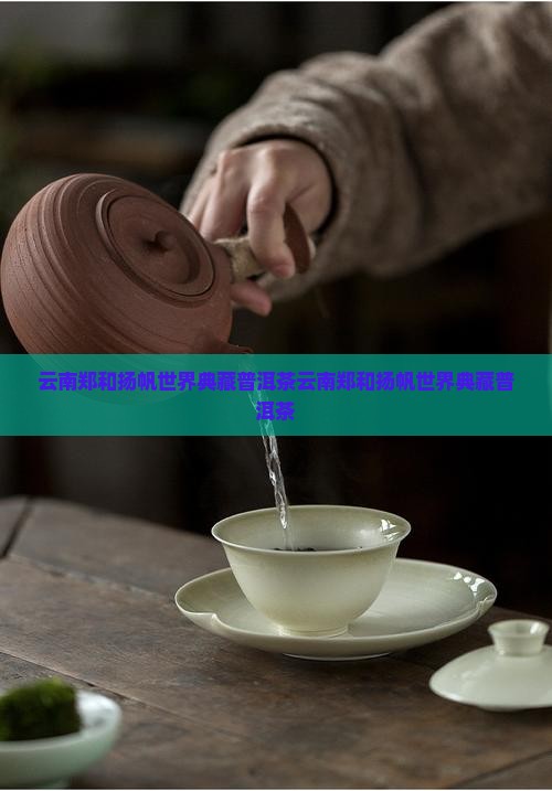 云南郑和扬帆世界典藏普洱茶