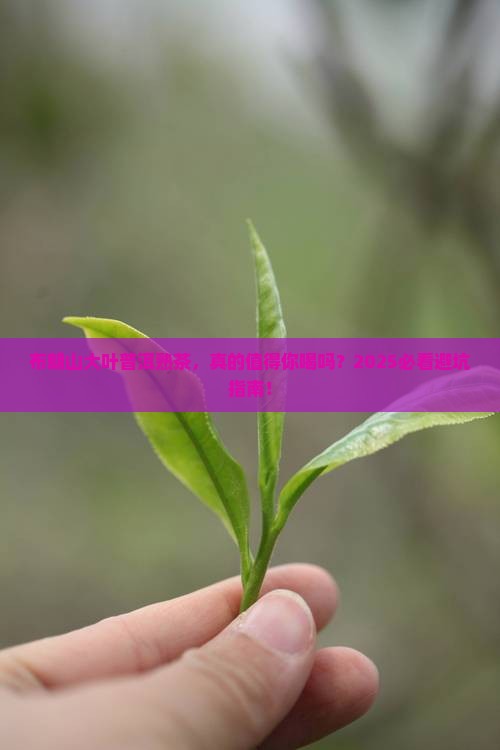 布朗山大叶普洱茶熟茶