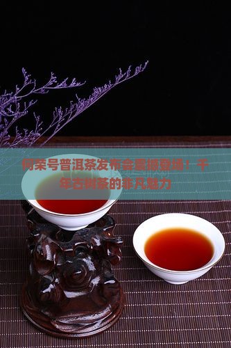 何荣号普洱茶发布会