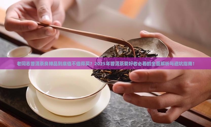 老同志普洱茶良禅品