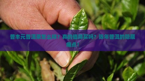 普丰元普洱茶怎么样