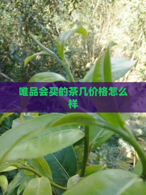 唯品会买的茶几价格