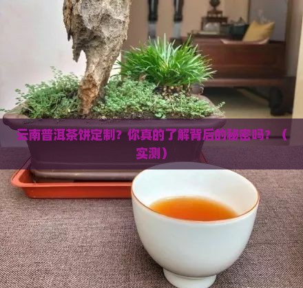 云南普洱茶饼定制