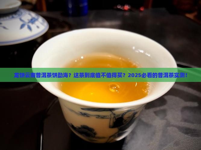 龙饼云南普洱茶饼勐海