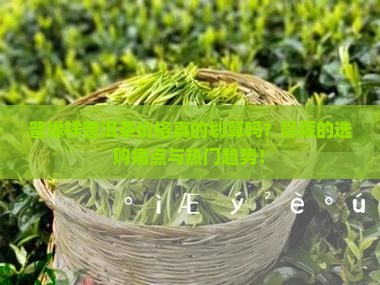 普缘祥普洱茶价格