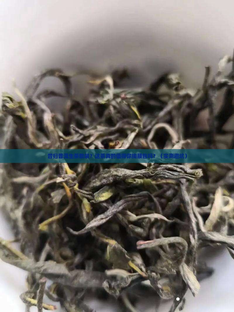 昔归普洱生茶散装