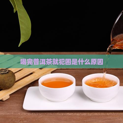 喝完普洱茶就犯困是什么原因