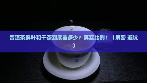 普洱茶鲜叶和干茶的比例