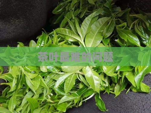 茶叶最难的问题