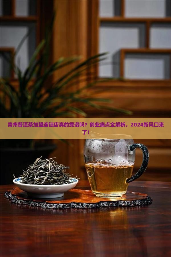 青州普洱茶加盟连锁店
