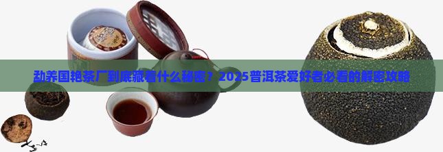 国艳普洱茶勐养国艳茶厂