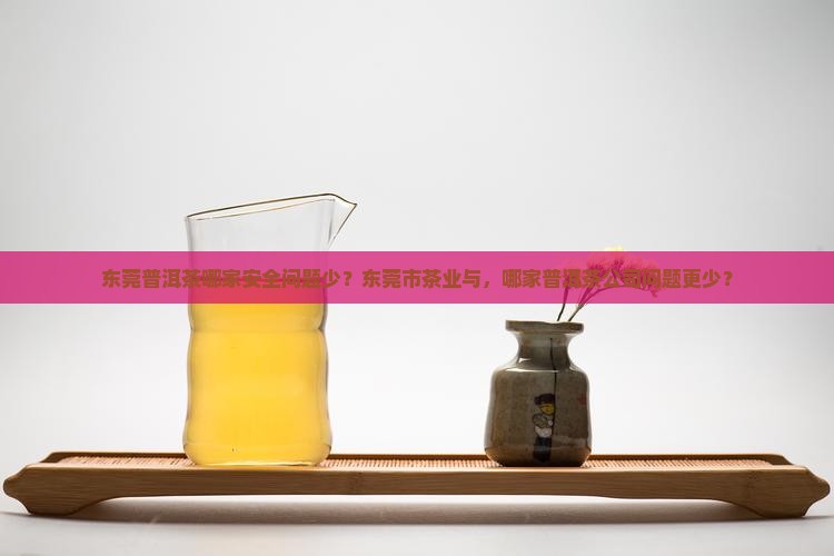 东莞普洱茶哪家安全问题少