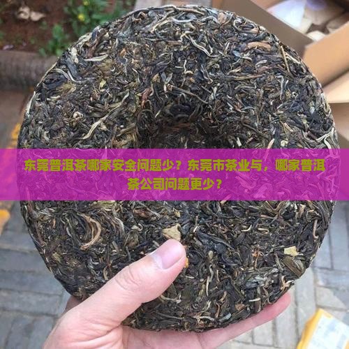 东莞普洱茶哪家安全问题少