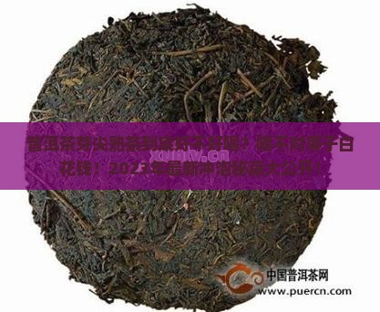 普洱茶芽尖熟茶怎么样喝