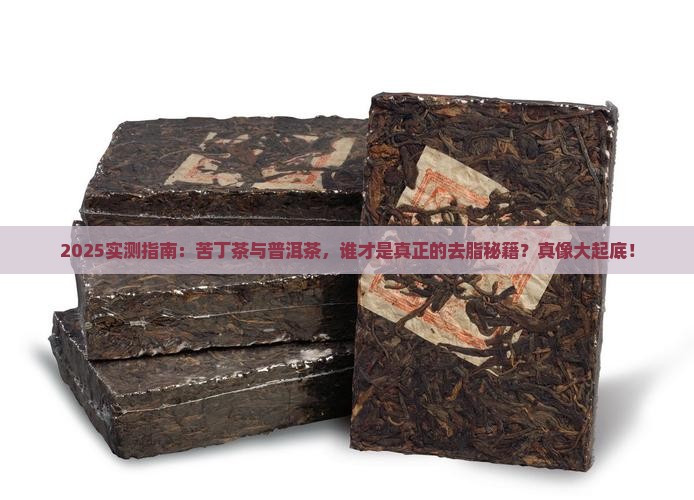 苦丁茶与普洱茶哪个去脂好