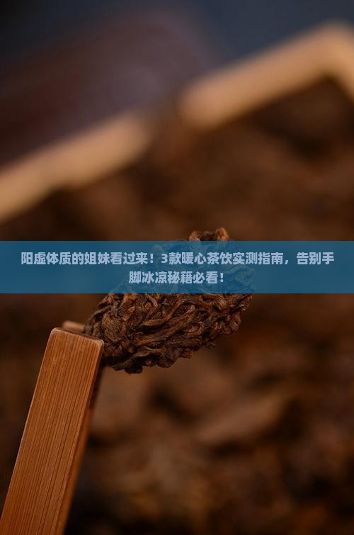 阳虚可以喝什么茶好