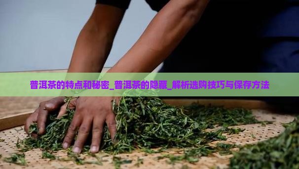 普洱茶的特点和秘密