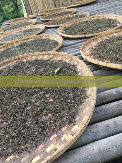 瑞安普洱茶府地址查询