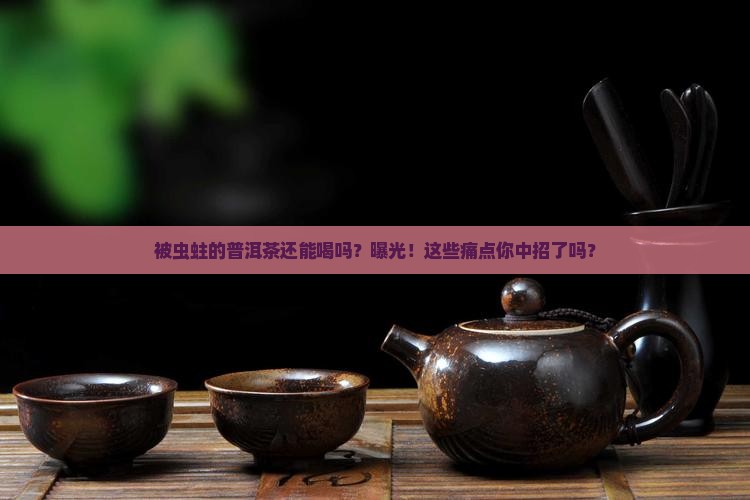 被虫蛀的普洱茶还能喝吗