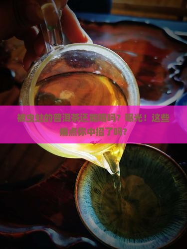 被虫蛀的普洱茶还能喝吗