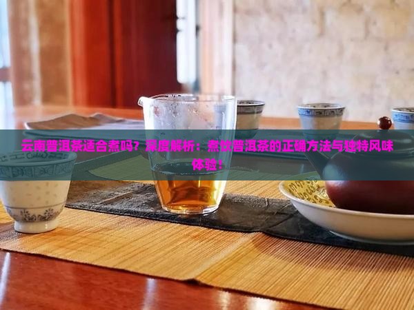云南普洱茶适合煮吗