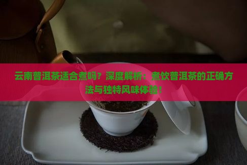 云南普洱茶适合煮吗