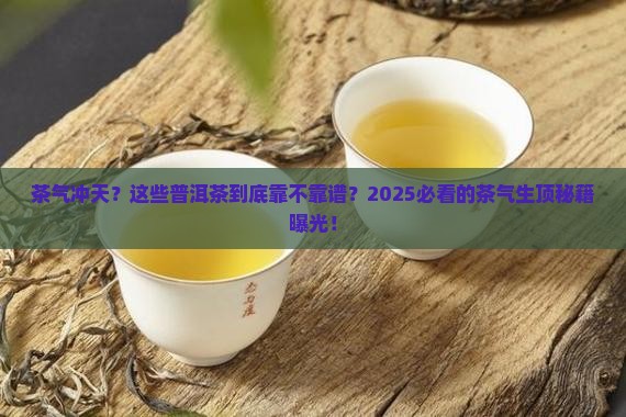 茶气生顶的普洱茶有哪些