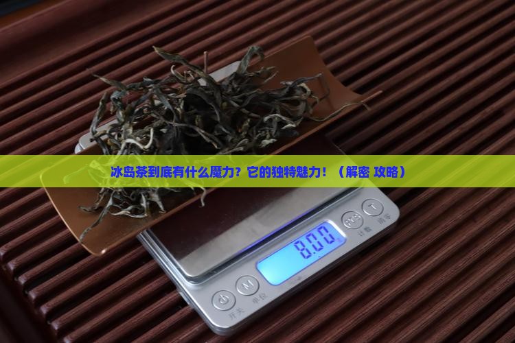 冰岛茶有哪些特征