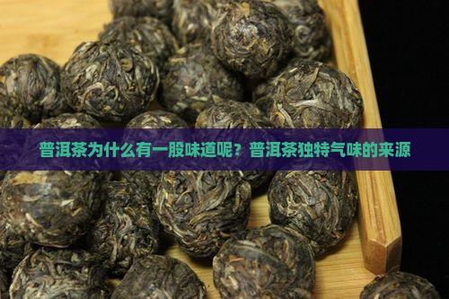 普洱茶为什么有一股味道呢