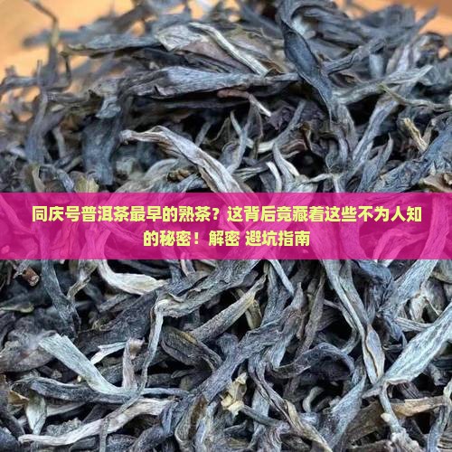 同庆号普洱茶最早的熟茶