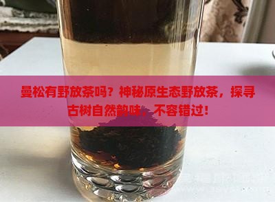 曼松有野放茶吗