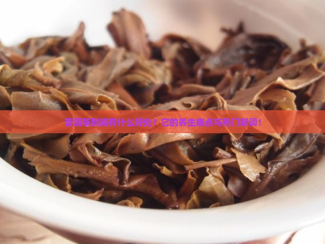 普洱茶的基本属性