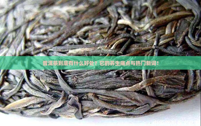 普洱茶的基本属性
