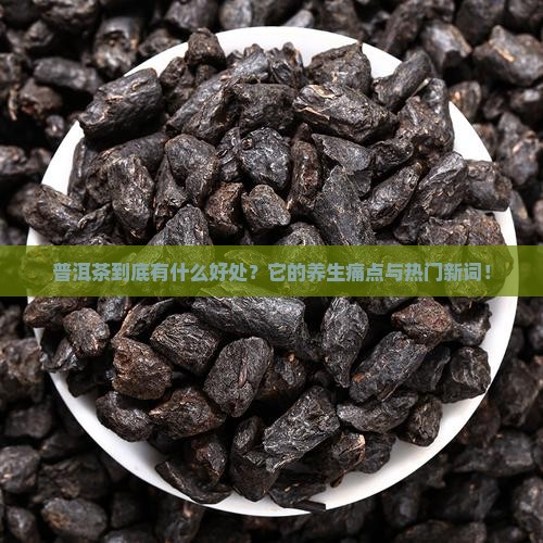 普洱茶的基本属性