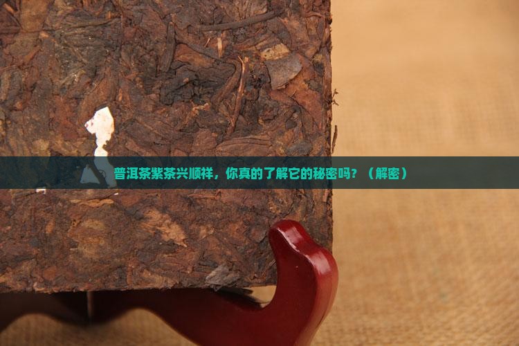 普洱茶紫茶兴顺祥