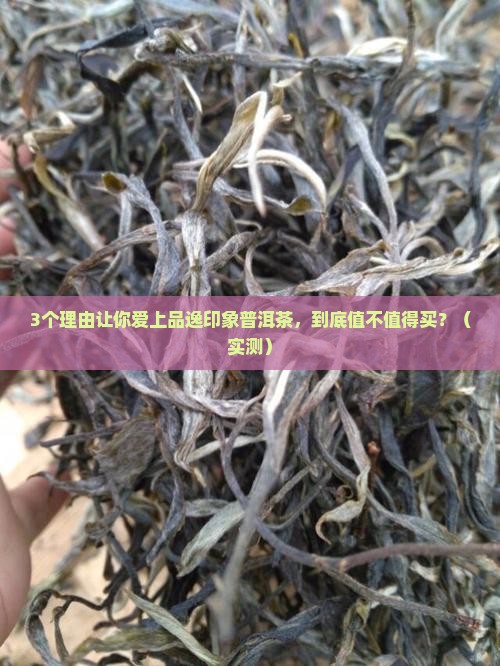 品逸印象普洱茶