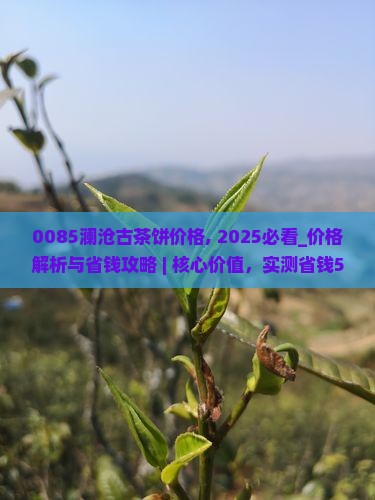 0085澜沧古茶饼价格