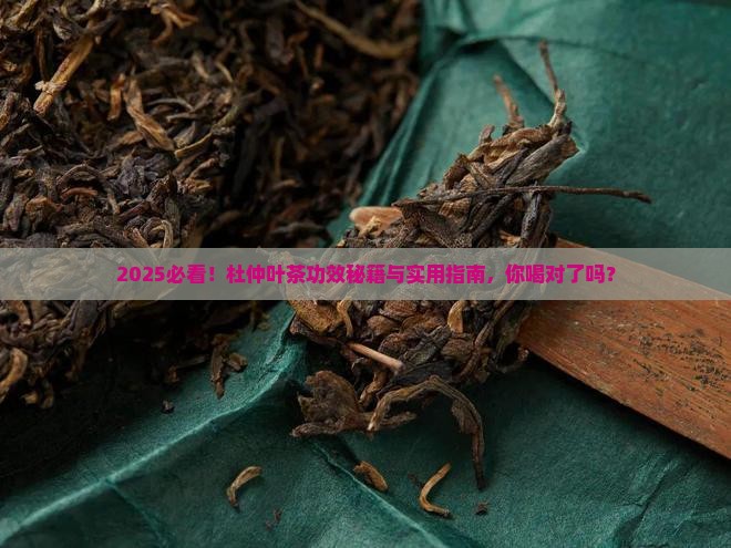 杜仲叶茶的功效及用途