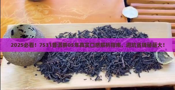 7531普洱茶05年