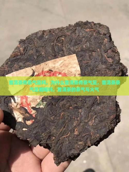 普洱茶有茶气足吗