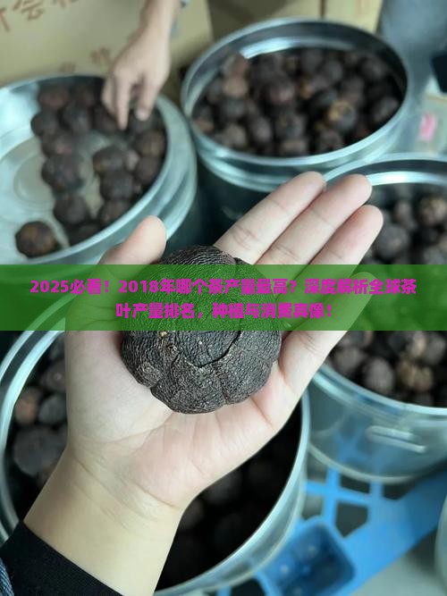 2018年哪个茶产量最高